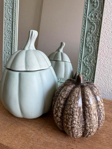 Decoratie pompoenen beschikbaar voor biedingen