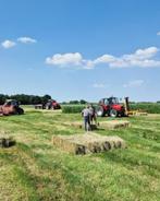 Hooi en stro, Dieren en Toebehoren, Dierenvoeding, Overige soorten, Ophalen