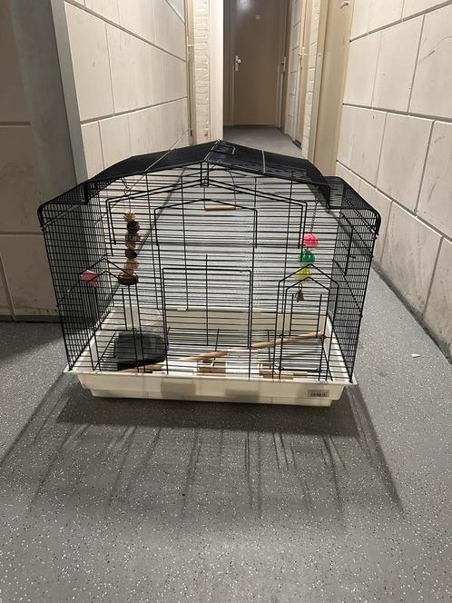 Vogel/parkieten kooi, Dieren en Toebehoren, Vogels | Hokken en Kooien, Zo goed als nieuw, Vogelkooi, Metaal, Ophalen
