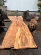 Beukenhout met slaap. Uniek en massief uit 1 stuk, Ophalen of Verzenden, Nieuw, 250 cm of meer, Palen