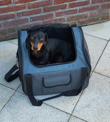 Draagbare inklapbare reistas/bench voor kleine hond.