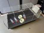 Cavia of konijnen kooi incl. toebehoren, Kooi, Cavia, Zo goed als nieuw, 75 tot 110 cm