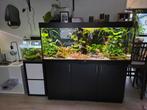 Juwel aquarium te koop, Ophalen, Gebruikt, Leeg aquarium