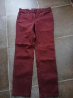 Een mooie nieuwe donkerrode broek in maat 44., Kleding | Dames, Ophalen, Maat 42/44 (L), Nieuw, Zerres Cora