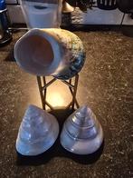 Mooie setje met 2 Troches en een Turbo op standaard, Ophalen of Verzenden