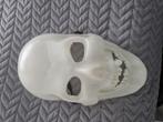 Masker halloween schedel, Ophalen of Verzenden, Zo goed als nieuw, Jongen of Meisje