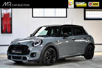 Mini Mini 1.5 Cooper Dalston Edition | JCW | Apple Carplay | beschikbaar voor biedingen