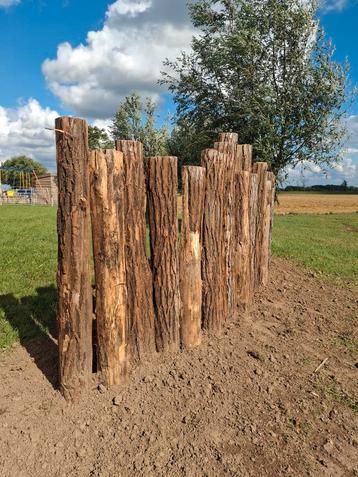 Robinia palen half Rond  beschikbaar voor biedingen