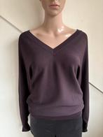 Studio Anneloes trui v-hals maat xs s bruin lara pullover, Studio Anneloes, Bruin, Ophalen of Verzenden, Zo goed als nieuw