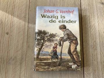 Johan. G. Veenhof: wazig is de einder.  in goede/nette staat beschikbaar voor biedingen