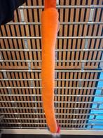 oranje artikelen, Hobby en Vrije tijd, Feestartikelen, Ophalen, Nieuw, Versiering, Oranje of Koningsdag