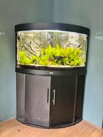 Juwel trigon 190 aquarium, Dieren en Toebehoren, Ophalen, Gebruikt, Leeg aquarium