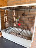 Parkieten, Ophalen of Verzenden, Zo goed als nieuw, Vogelkooi