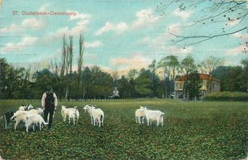(387-039-035) Oosterbeek Dennekamp beschikbaar voor biedingen