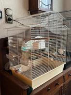2 vogelkooien compleet met stokken  en voerbakjes, Dieren en Toebehoren, Ophalen, Minder dan 75 cm, Kooi, Minder dan 60 cm