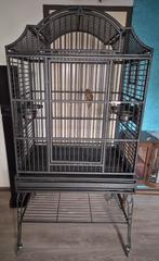 Hele stevige zware papegaaienkooi, Ophalen, Gebruikt, Metaal, Vogelkooi