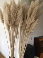 Pluimen, €1.per stuk, Ophalen, Zo goed als nieuw