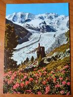 Ansichtkaart Zwitserland Piz Palu 19457, Ophalen of Verzenden, Overig Europa