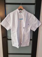 Nieuw zorgjas maat XXL de Berkel, Ophalen of Verzenden, Nieuw