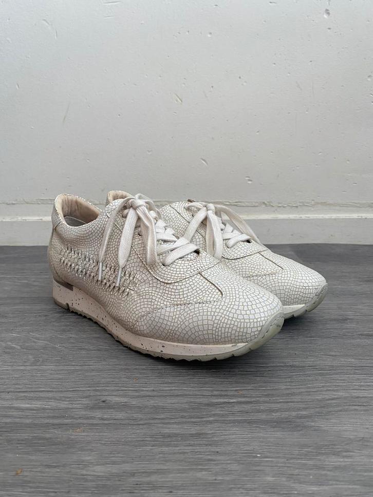 Nieuwe Piedi Nudi sneakers maat 41, Kleding | Dames, Schoenen, Nieuw, Sneakers of Gympen, Overige kleuren, Verzenden