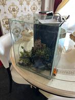 Aquarium, Ophalen of Verzenden, Zo goed als nieuw, Sierelement