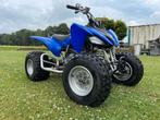 Yamaha Raptor 250R quad, Motoren, Quads en Trikes, 250 cc