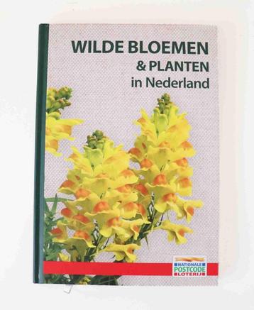 Wilde bloemen & planten met veldgids in Nederland   beschikbaar voor biedingen