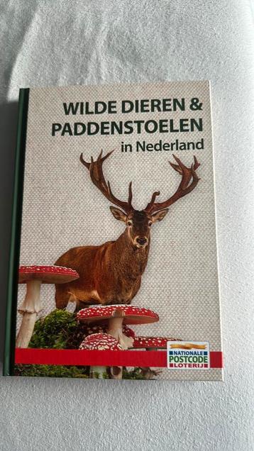 Wilde dieren en paddenstoelen in hederland beschikbaar voor biedingen