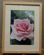 Wissellijsten, Ophalen of Verzenden, Zo goed als nieuw, Hout, Minder dan 50 cm