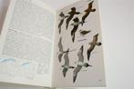 Tirions Vogelgids — Alle Vogels van Noordwest-Europa, Ophalen of Verzenden, Gelezen, Vogels