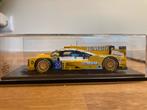 Dallara P217 Racing team holland gesigneerd, Hobby en Vrije tijd, Modelauto's | 1:43, Ophalen of Verzenden, Zo goed als nieuw