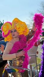 Drag Queen outfits met schuimpruiken, Ophalen, Carnaval, Maat 46/48 (XL) of groter, Kleding