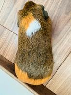 Leuke schattige cavia, Dieren en Toebehoren, Cavia, Februari, Mannelijk, Tam