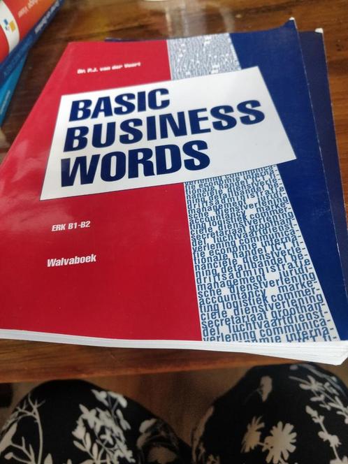 P.J. van der Voort - Basic Business Words, Boeken, Schoolboeken, Zo goed als nieuw, Engels, Overige niveaus, Ophalen of Verzenden