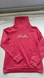 Cavalleiro trui, maat 164/170, Kinderen, Overige soorten, Ophalen of Verzenden, Zo goed als nieuw