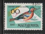 Hongarije 1961 - Vogel - Boekvink, Ophalen of Verzenden, Gestempeld