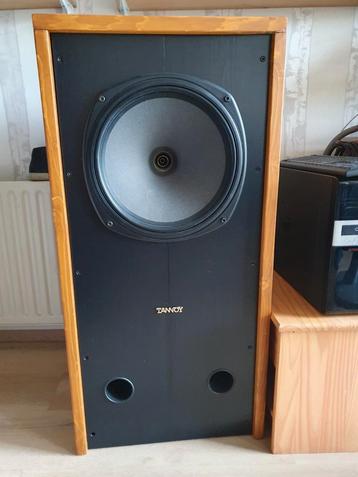 Hoge kwaliteit Tannoy 15 inch luidspeakers