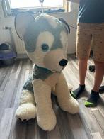 Grote Knuffel Hond Husky, Ophalen of Verzenden, Gebruikt, Hond