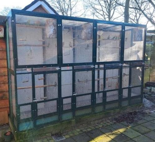 Groen aluminium voliere, Dieren en Toebehoren, Vogels | Hokken en Kooien, Zo goed als nieuw, Volière, Aluminium, Ophalen