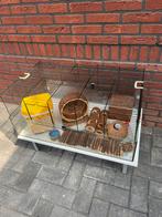 Hamsterkooi met toebehoren, Kooi, Minder dan 75 cm, Zo goed als nieuw, Hamster