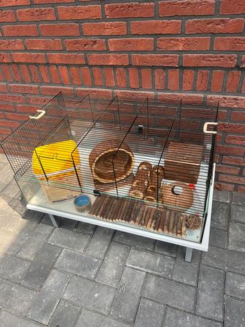 Hamsterkooi met toebehoren beschikbaar voor biedingen
