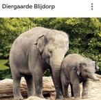Blijdorp dierentuin kaartjes (2 volwassenen, 1 kind), Drie personen of meer, Kortingskaart