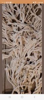 Macrame hangmat Ibiza  ecru touw hout, Ophalen of Verzenden, Nieuw