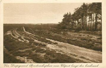(300-030-019) Elspeet Langs den boschrand beschikbaar voor biedingen