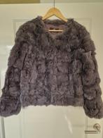 Angelique L. Konijnenbont Jasje, Kleding | Dames, Jassen | Winter, Maat 38/40 (M), Ophalen of Verzenden, Zo goed als nieuw, Grijs