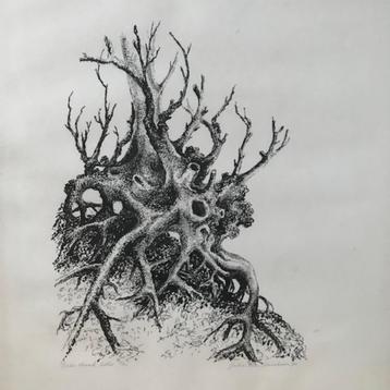 Litho van "Dode stronk"- Julia van Verschuer 1970  beschikbaar voor biedingen