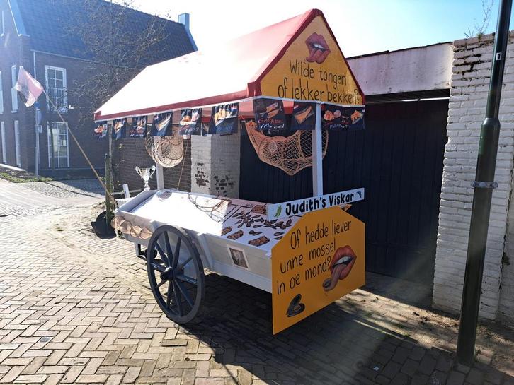 Carnaval loopgroep, Kleding | Dames, Carnavalskleding en Feestkleding, Ophalen of Verzenden