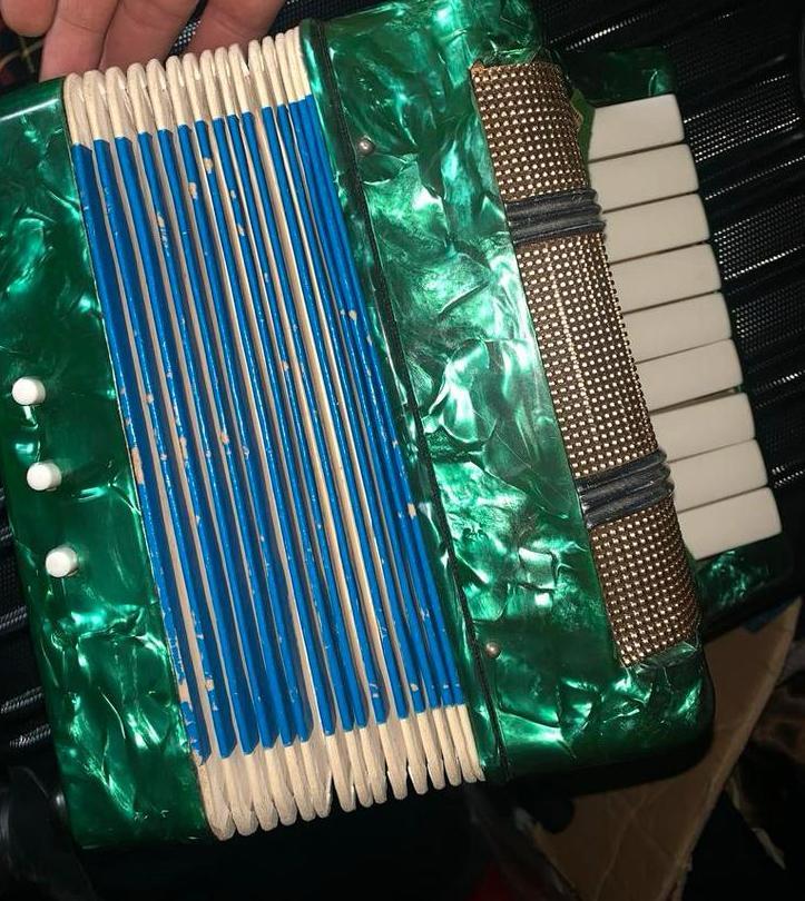 Groene Accordeon - 48-bas werkt perfect, Muziek en Instrumenten, Accordeons, Gebruikt, Toetsaccordeon, 48-bas, Overige merken