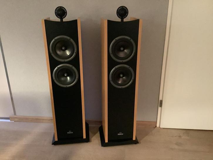 Magnat Collection ‘99, Audio, Tv en Foto, Luidsprekers, Zo goed als nieuw, Front, Rear of Stereo speakers, 120 watt of meer, Magnat