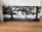 IKEA canvas Pjätteryd - Mistig boslandschap - CARB P2 1609, Huis en Inrichting, Woonaccessoires | Schilderijen, Tekeningen en Foto's